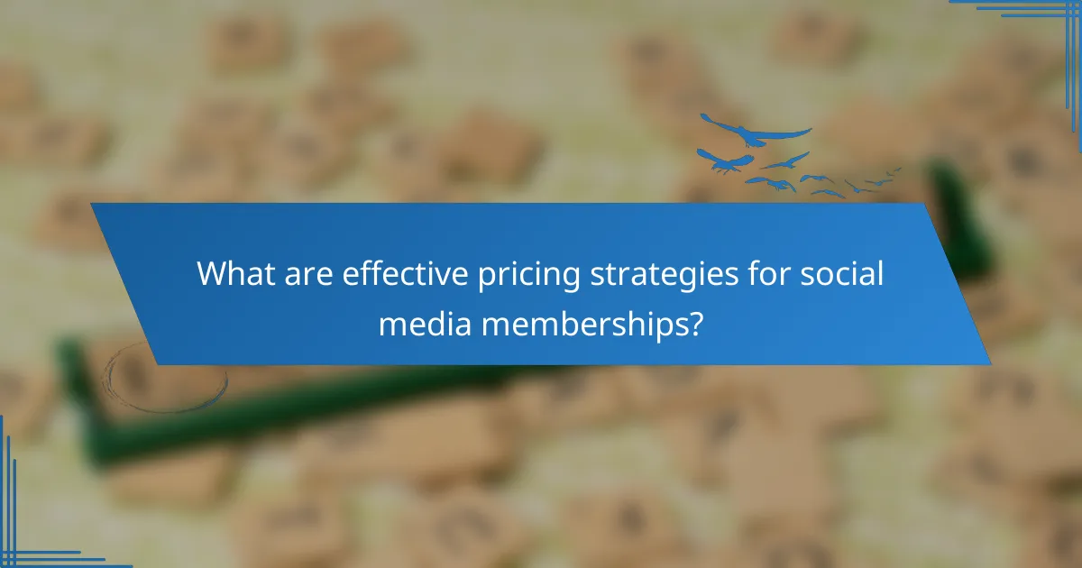 What are effective pricing strategies for social media memberships?