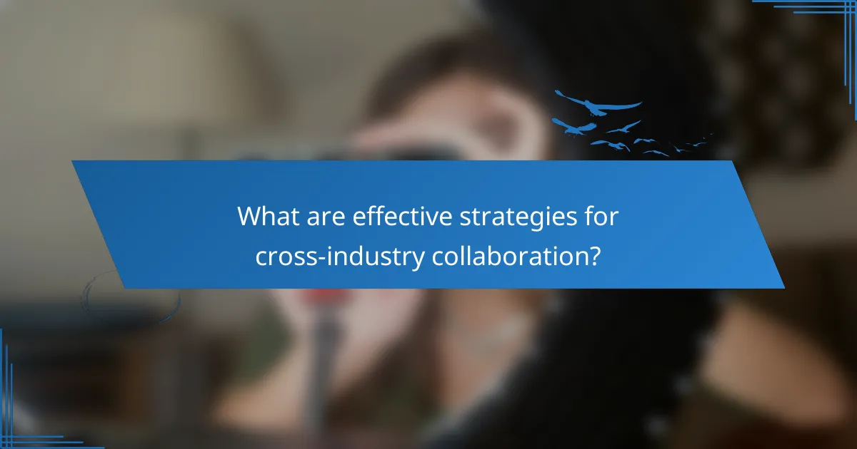 What are effective strategies for cross-industry collaboration?
