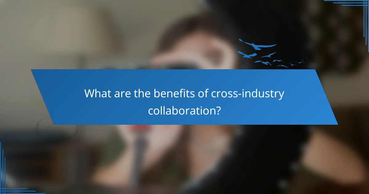 What are the benefits of cross-industry collaboration?