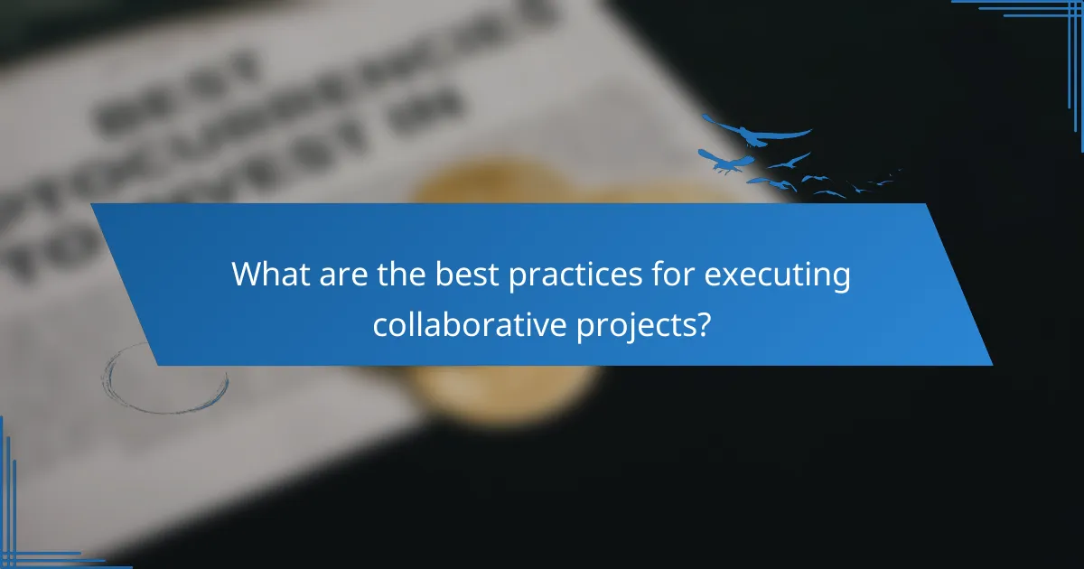 What are the best practices for executing collaborative projects?