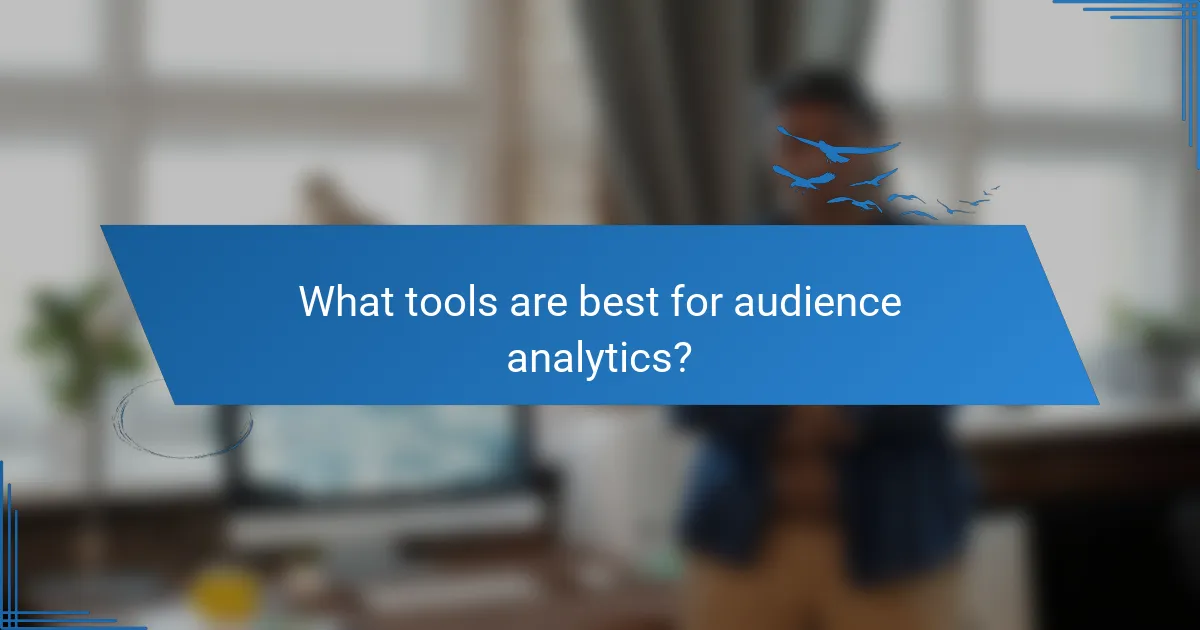 What tools are best for audience analytics?