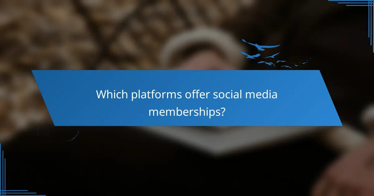 Which platforms offer social media memberships?