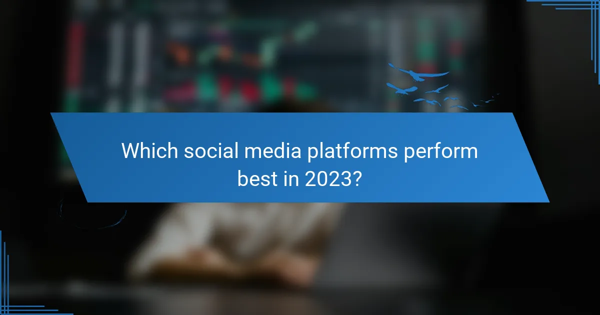 Which social media platforms perform best in 2023?